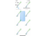SONOFF DW2 Wi-Fi (  -)